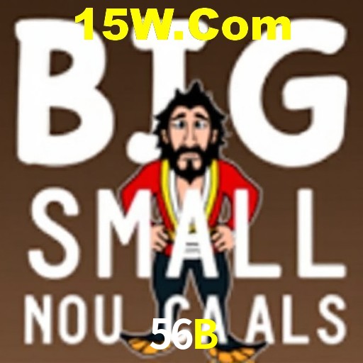 56B Salvador - Strategies
